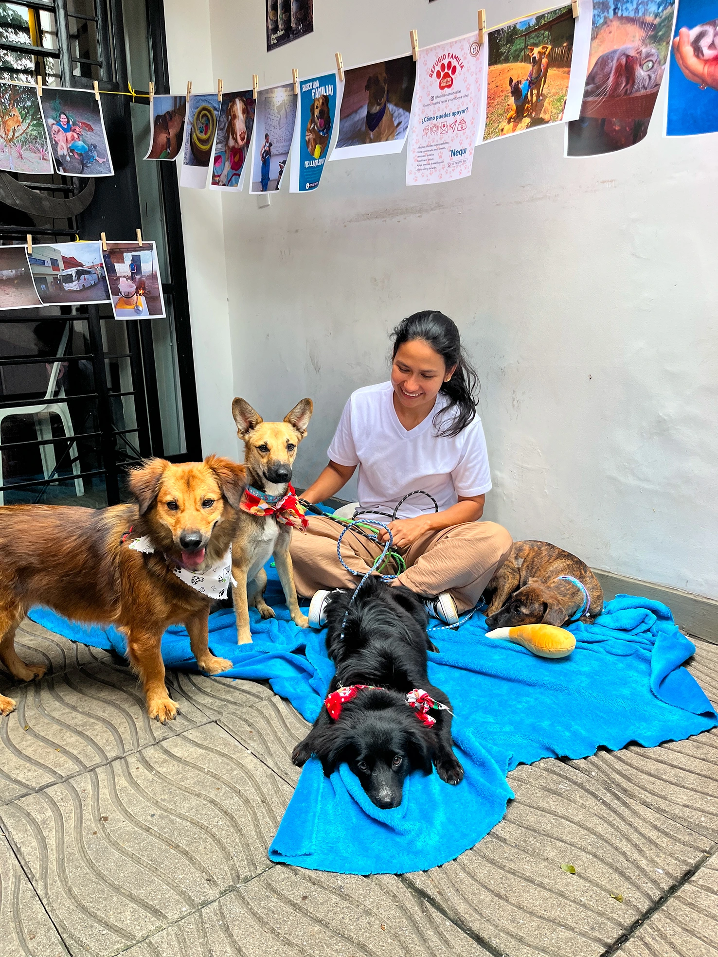 Yuri cuidando perros rescatados en una jornada de adopción